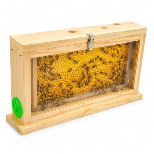 Bee Breeding Observation Box Wood Double Sided Acrylic