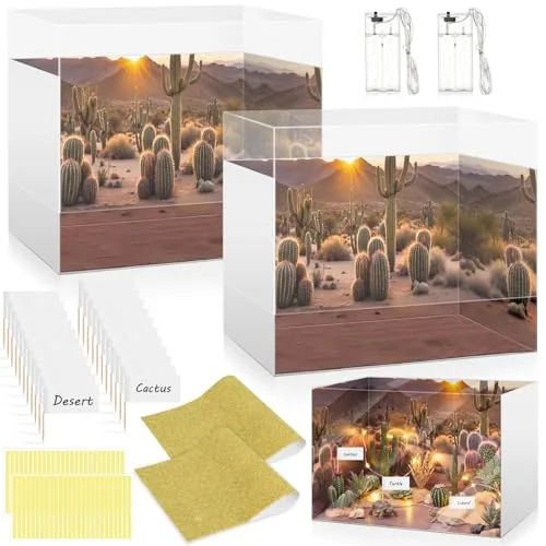 Folding Diorama Kit Project Supplies Display Case Cardboard, Multicolour