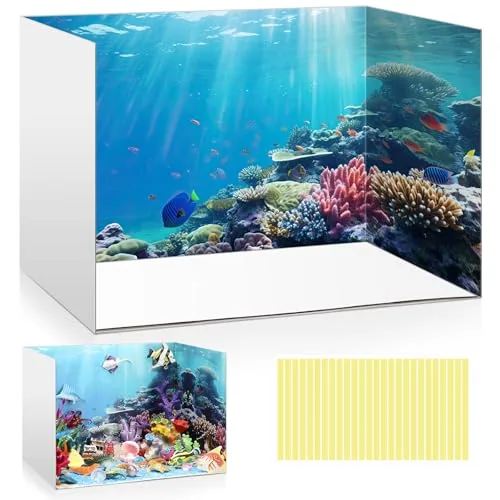 Diorama Kit Project Supplies Display Case Cardboard, Multicolour